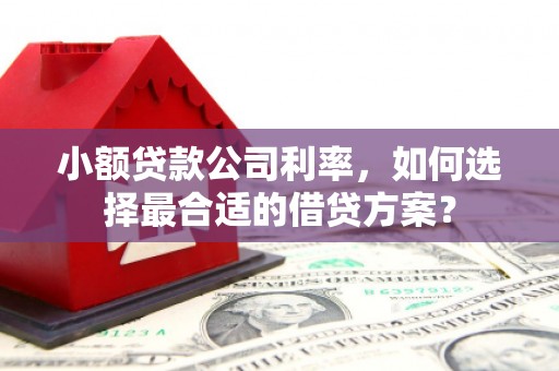 山东小额贷款公司利率，如何选择最合适的借贷方案？