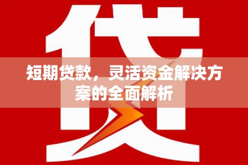山东短期贷款，灵活资金解决方案的全面解析