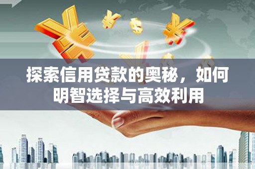 山东探索信用贷款的奥秘，如何明智选择与高效利用