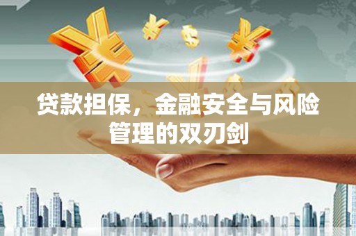 山东贷款担保，金融安全与风险管理的双刃剑