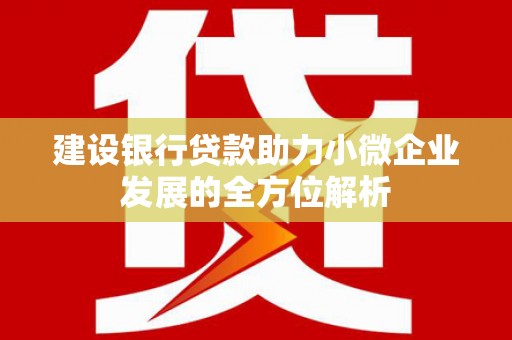 山东建设银行贷款助力小微企业发展的全方位解析