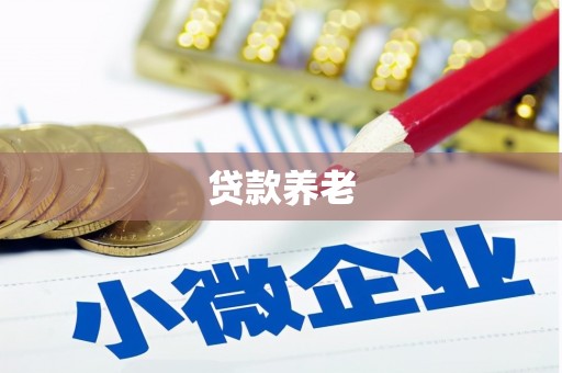 山东贷款养老