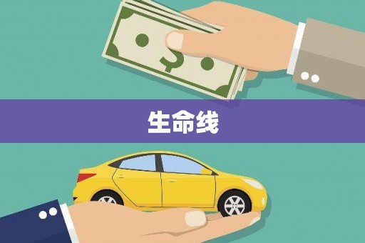 山东生命线