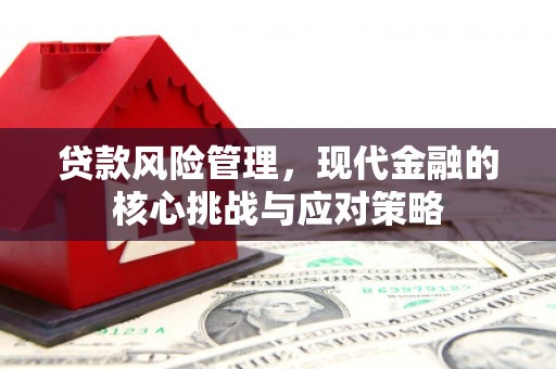 山东贷款风险管理，现代金融的核心挑战与应对策略
