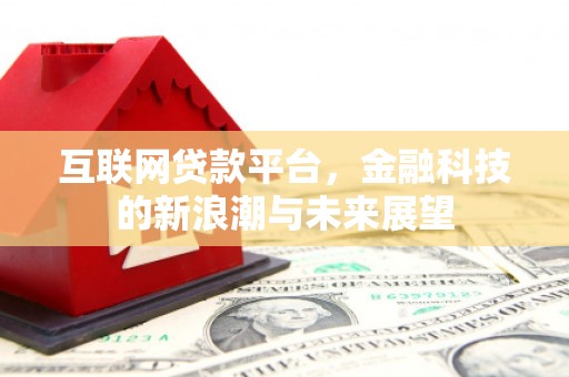 山东互联网贷款平台，金融科技的新浪潮与未来展望