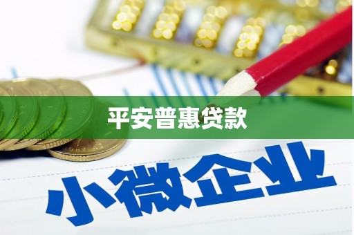 山东平安普惠贷款