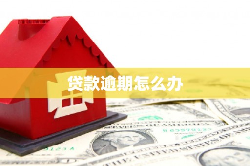 山东贷款逾期怎么办