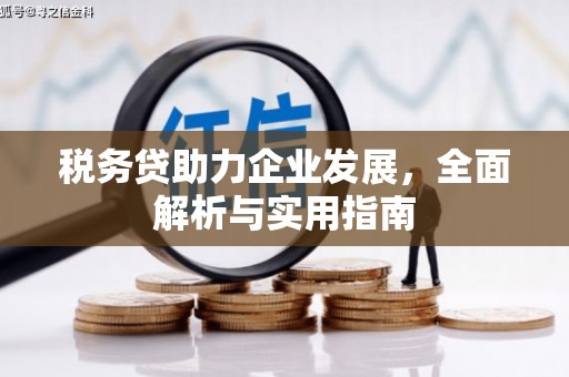 山东税务贷助力企业发展，全面解析与实用指南