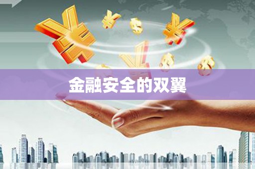 山东金融安全的双翼