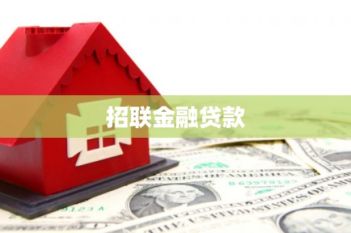 山东招联金融贷款
