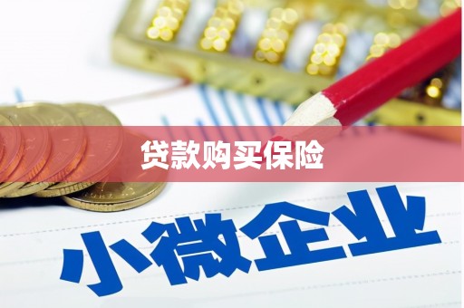 山东贷款购买保险