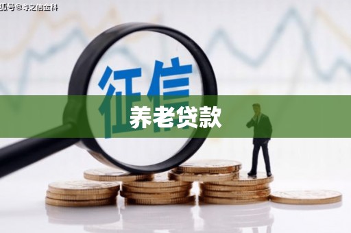 山东养老贷款