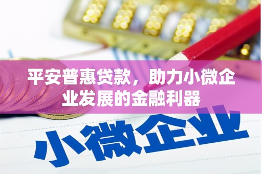 山东平安普惠贷款，助力小微企业发展的金融利器