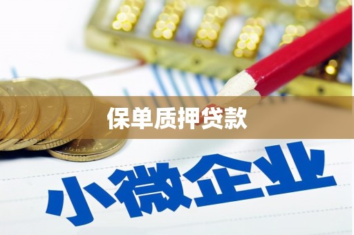 山东保单质押贷款