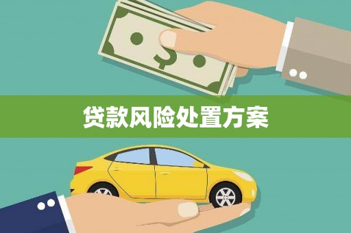 山东贷款风险处置方案