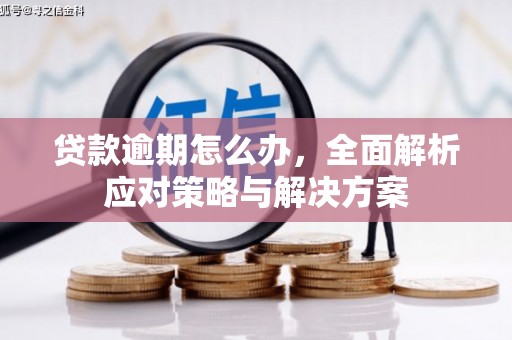 山东贷款逾期怎么办，全面解析应对策略与解决方案
