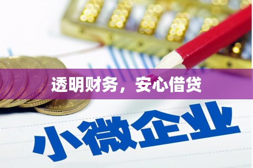 山东透明财务，安心借贷