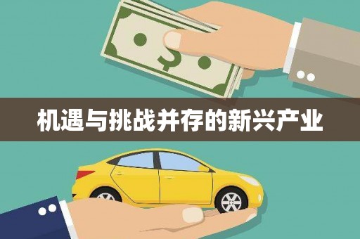 山东机遇与挑战并存的新兴产业