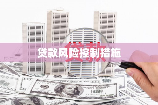 山东贷款风险控制措施