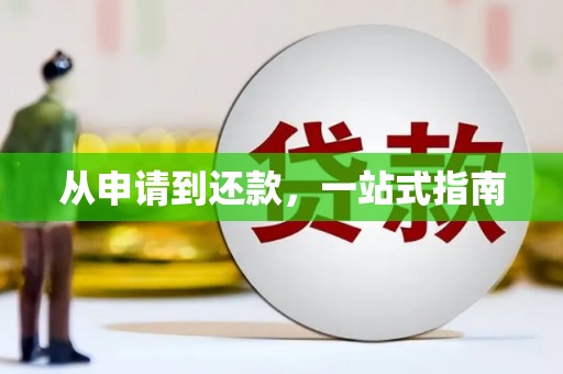 山东从申请到还款，一站式指南