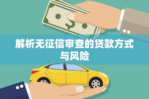 山东解析无征信审查的贷款方式与风险