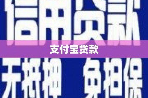 山东支付宝贷款