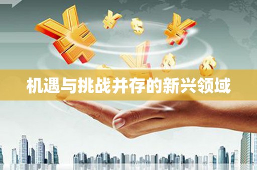 山东机遇与挑战并存的新兴领域