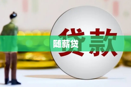 山东随薪贷