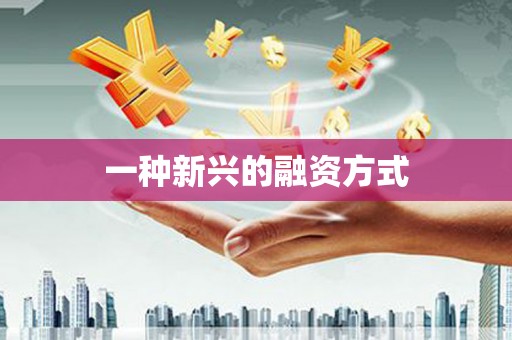 山东一种新兴的融资方式