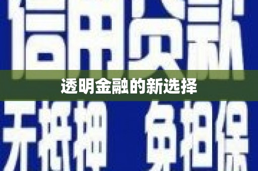 山东透明金融的新选择
